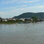 borneo602