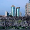 There are no any eyesores in Astana. Even ugly places like this heap of rubble were not simply hidden behind a fence, but the fence was decorated with a wallpaper of beautiful birch forest.