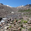 Je näher zum Pass der Touristen (3960 m) umso karger wurde die Vegetation.