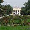 Rosenpracht vor dem Universitätsgebäude im Bischkek ...