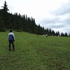 Football play on the mountain meadow in something modified form. The ball was kicked uphill and then it rolled very fast down the steep slope. The difficulty was to catch it before it falls into the river.