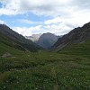 Unfortunately even in the national park I saw grazing domestic animals, but by far not so many than in the other parts of the Terskey Alatau range. From the reduced pasturing benefited the meadow vegetation, which was lusher and with a profusion of flowers.