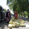 Kürbis- und Melonenverkauf am Straßenrand nicht weit von der Grenze zu Kirgistan. Gleich nach dem Grenzübertritt wurde der Unterschied im Aussehen der Bevölkerung zwischen den Tadschiken und Kirgisen sichtbar. Die ersten sind vom Aussehen und Sprache mit den Persern verwandt, also haben europäische Gesichtszüge, während die zweiten ein Turkvolk sind, das sich mit den mongolischen Eroberern vermischt hat und dadurch ostasiatische Gesichtszüge aufweist.