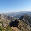 The reserve was established im year 1959 to restore the lost population of Bukhara deer (Cervus bactrianus). In the independent Tajikistan the settlement inside the reserve was allowed and soon the deers were extinct and the forests destroyed.