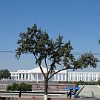 Ein Regierungsgebäude am Platz der Unabhängigkeit (Mustaqillik Maydoni) in Taschkent.