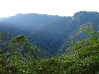 DSC05072.JPG