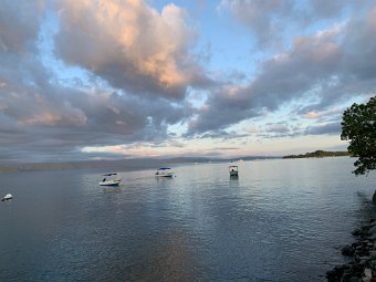 IMG_2298.jpeg