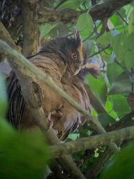 IMG_2368.jpeg