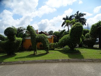 DSC04978.JPG