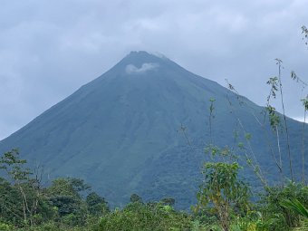 IMG_2565.jpeg