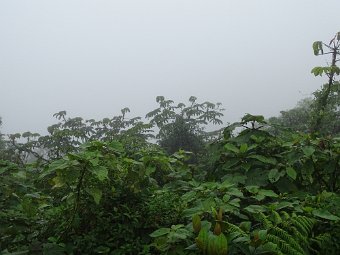 DSC04896.JPG