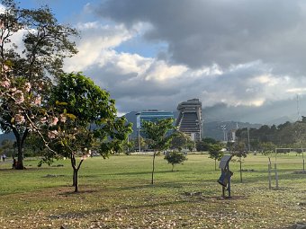 IMG_2711.jpeg