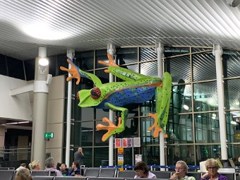 IMG_2727.jpeg
