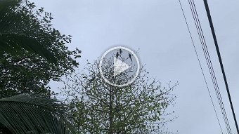 IMG_2573.mov
