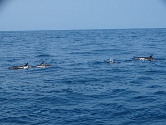 DSC05102.JPG