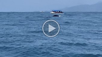 IMG_2678.mov