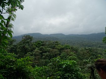 DSC04949.JPG
