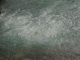 DSC04957.JPG