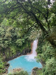 IMG_2553.jpeg