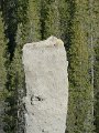 usawestcoast0576.jpg