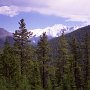 Eine typische Rocky Mountains Landschaft in Banff Nationalpark.<br />Anders als die Alpen in Europa wurden die Rockys in Kanada nie von Menschen besiedelt, abgesehen von ein paar nomadisierenden Indianerstämmen, die die Landschaft jedoch nicht umgestaltet haben. Es gibt hier also keine Almen und Siedlungen in den Tälern, die natürlichen Wälder erstrecken sich von der Talsohle bis zu der Baumgrenze.