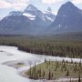 The milky water of the Atabasca River is typical for streams with glacier origin. In fact it originates from the Columbia Glacier of the big Columbia Icefield in Jasper National Park.