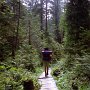 The West Coast Trail winds through forests, bogs and beaches. The path through forest is usually more interesting as the path on the beach. On the boggy places boardwalks were built, some of them were kilometers long.