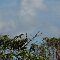 DSCN4093