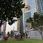 IMG_7257