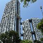 IMG_7117