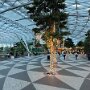 IMG_7511