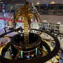 IMG_6688