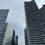 IMG_7010