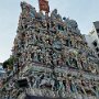 IMG_7050