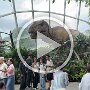 IMG_6927