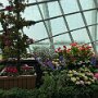 IMG_6969
