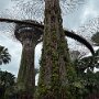 IMG_6905