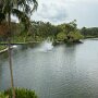 IMG_6901