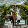 IMG_6962