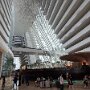 IMG_6854