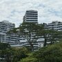 IMG_7115
