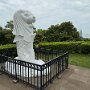 IMG_7081
