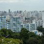 IMG_7083