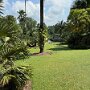 IMG_7456
